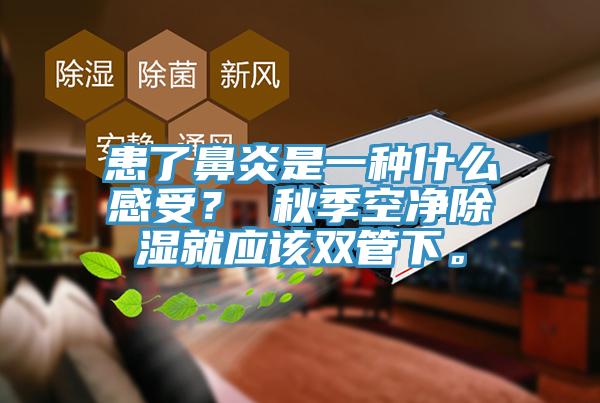 患了鼻炎是一種什么感受？ 秋季空凈除濕就應(yīng)該雙管下。
