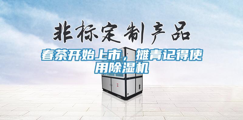 春茶開始上市，攤青記得使用除濕機