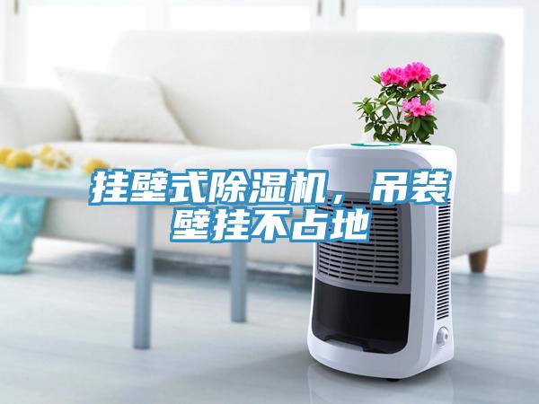 掛壁式除濕機(jī)，吊裝壁掛不占地