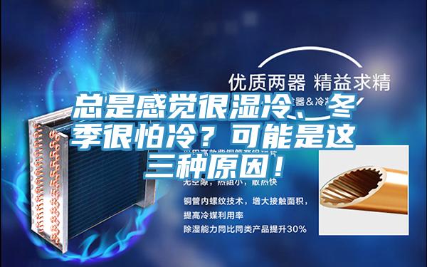 總是感覺很濕冷、冬季很怕冷？可能是這三種原因！