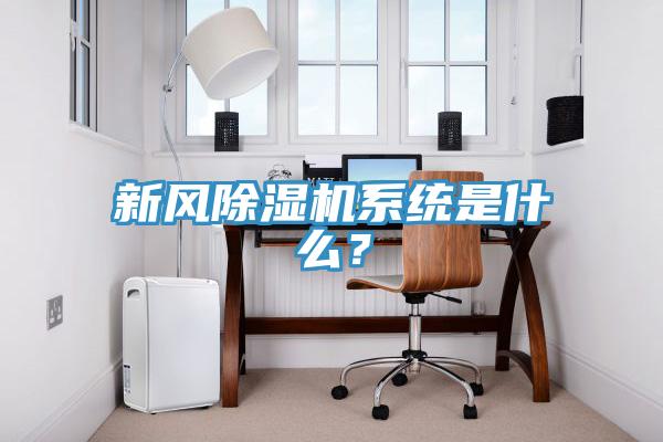 新風(fēng)除濕機(jī)系統(tǒng)是什么？