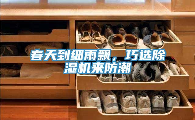 春天到細(xì)雨飄，巧選除濕機(jī)來(lái)防潮