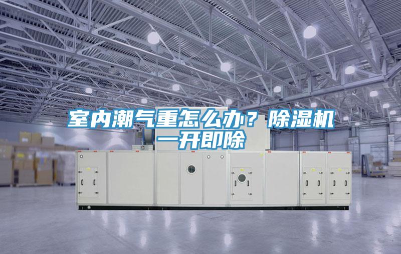室內(nèi)潮氣重怎么辦？除濕機一開即除