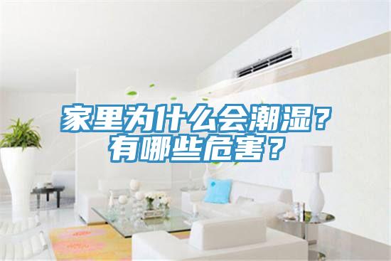 家里為什么會潮濕？有哪些危害？