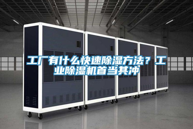 工廠有什么快速除濕方法？工業(yè)除濕機(jī)首當(dāng)其沖