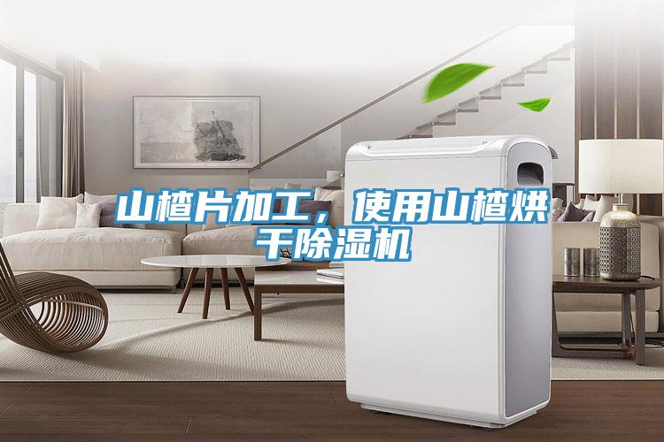 山楂片加工，使用山楂烘干除濕機
