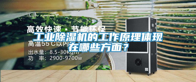 工業(yè)除濕機(jī)的工作原理體現(xiàn)在哪些方面？