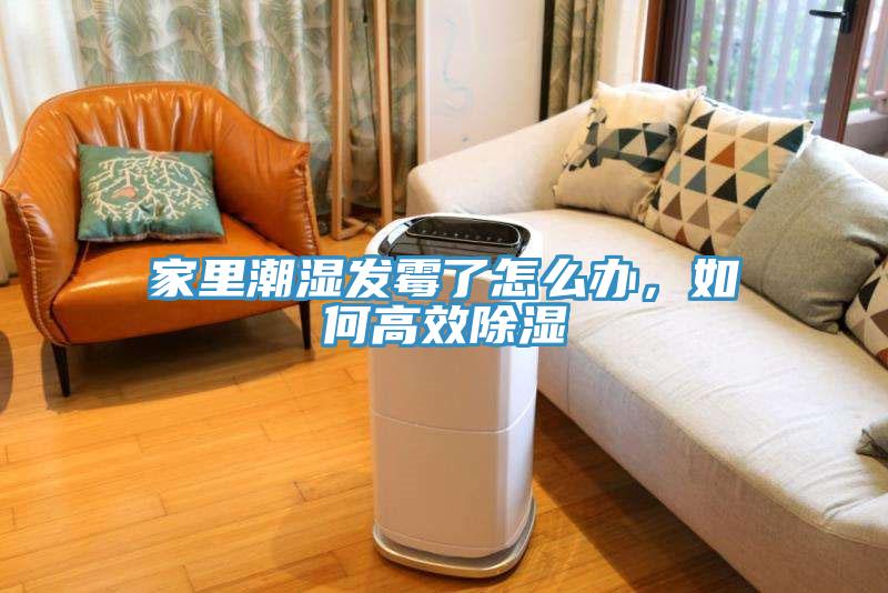 家里潮濕發(fā)霉了怎么辦，如何高效除濕