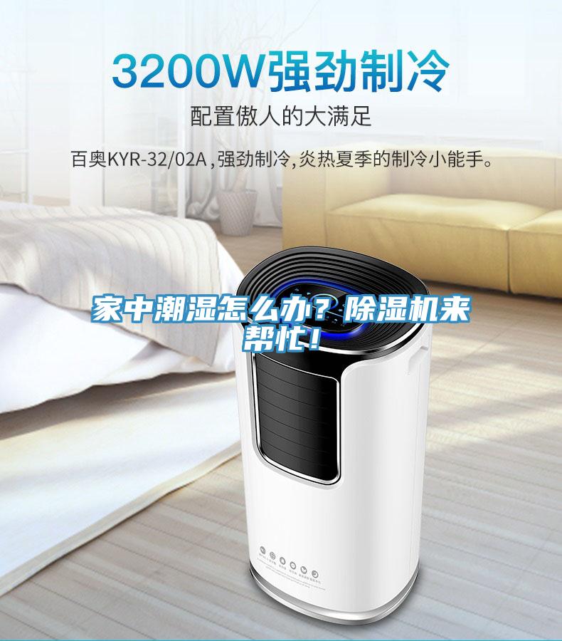 家中潮濕怎么辦？除濕機來幫忙！