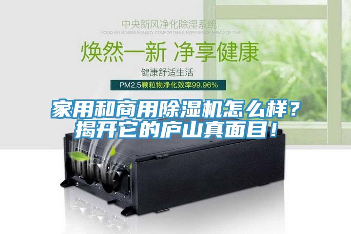 家用和商用除濕機怎么樣？揭開它的廬山真面目！