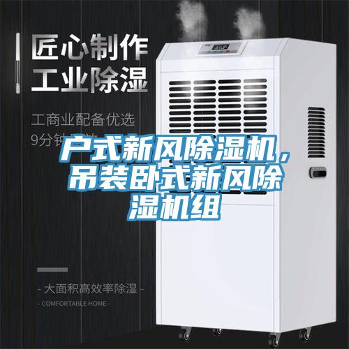 戶式新風(fēng)除濕機(jī)，吊裝臥式新風(fēng)除濕機(jī)組