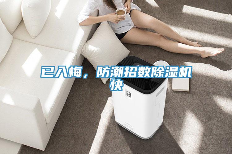 已入梅，防潮招數(shù)除濕機(jī)快