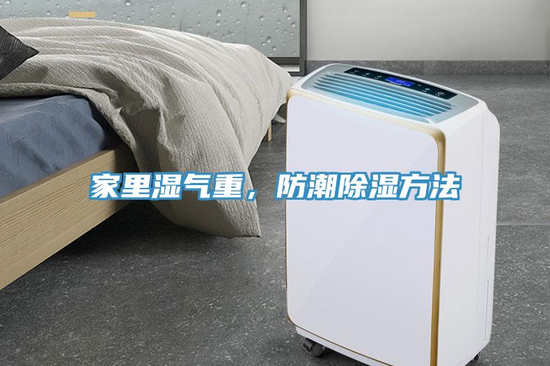 家里濕氣重，防潮除濕方法