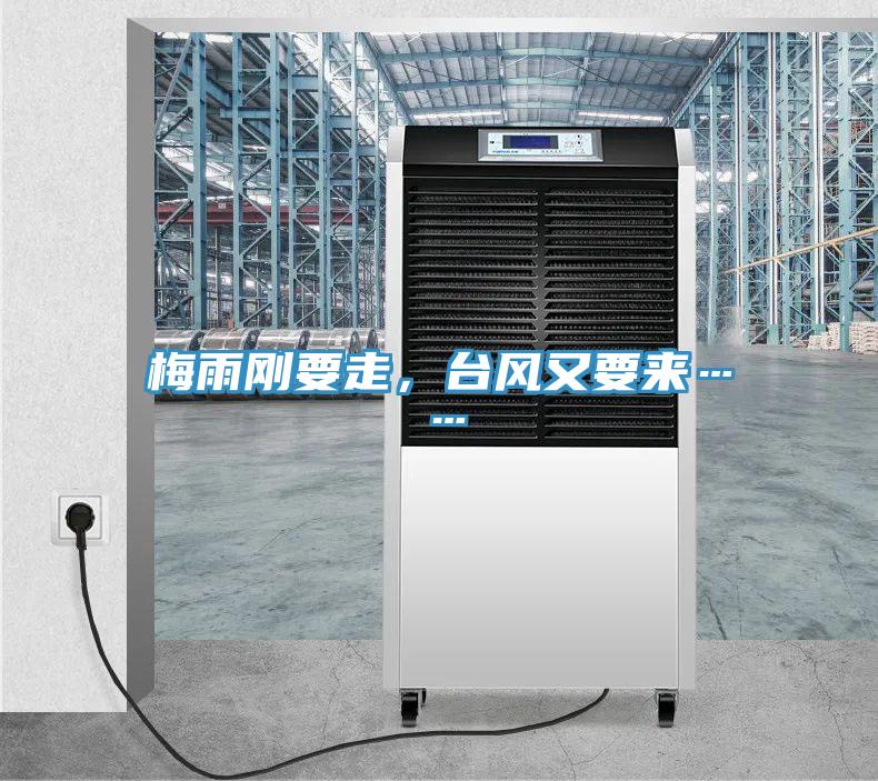 梅雨剛要走，臺風(fēng)又要來……
