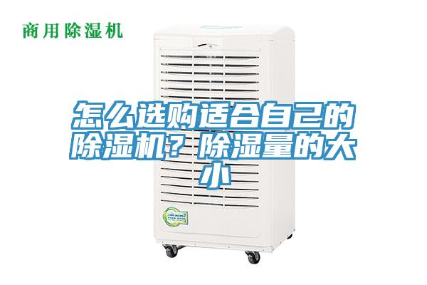 怎么選購適合自己的除濕機(jī)？除濕量的大小