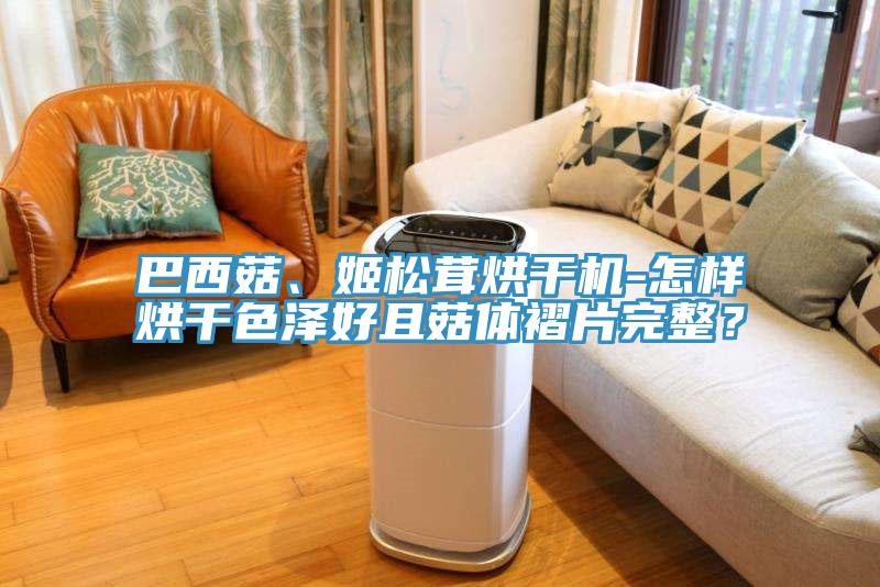 巴西菇、姬松茸烘干機-怎樣烘干色澤好且菇體褶片完整？