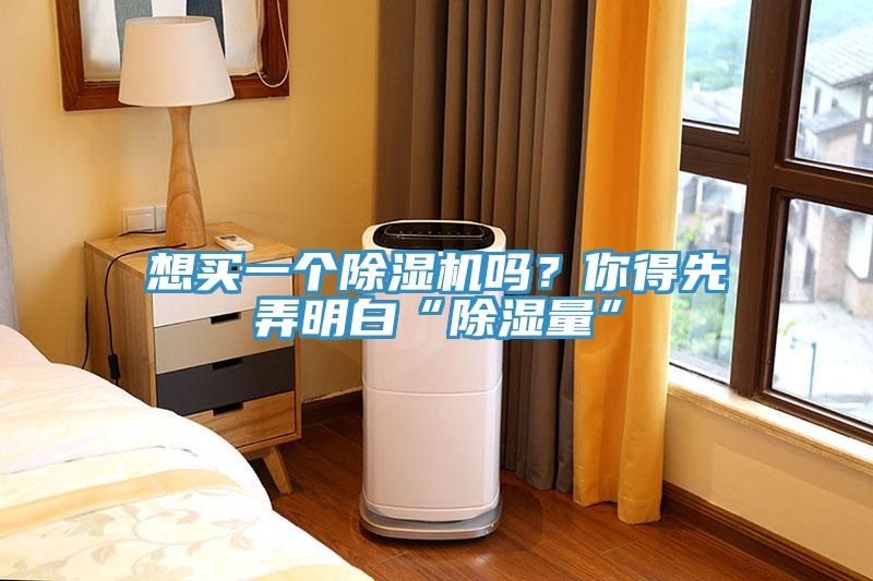 想買(mǎi)一個(gè)除濕機(jī)嗎？你得先弄明白“除濕量”