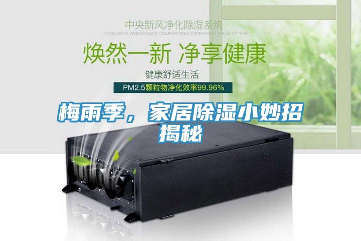 梅雨季，家居除濕小妙招揭秘