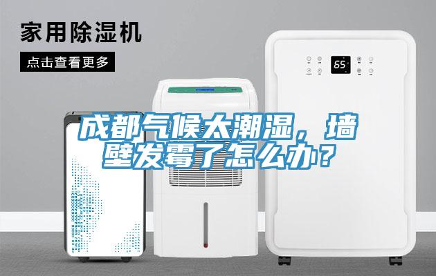 成都?xì)夂蛱睗瘢瑝Ρ诎l(fā)霉了怎么辦？