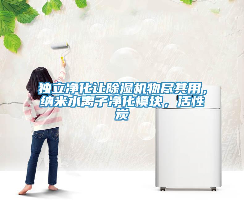 獨(dú)立凈化讓除濕機(jī)物盡其用，納米水離子凈化模塊，活性炭