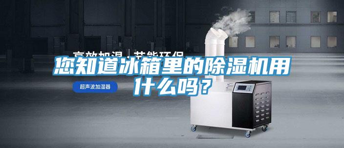 您知道冰箱里的除濕機(jī)用什么嗎？