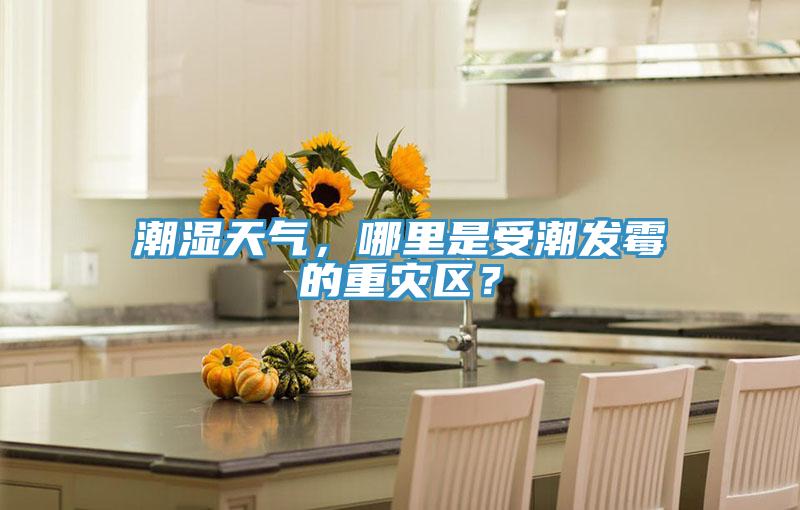 潮濕天氣，哪里是受潮發(fā)霉的重災區(qū)？