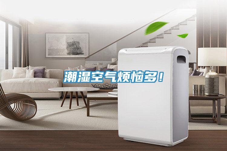 潮濕空氣煩惱多！