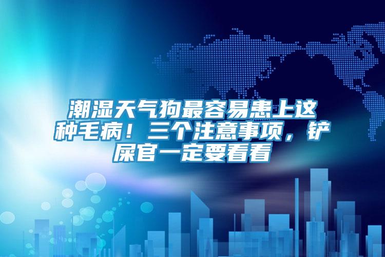 潮濕天氣狗最容易患上這種毛??！三個注意事項，鏟屎官一定要看看