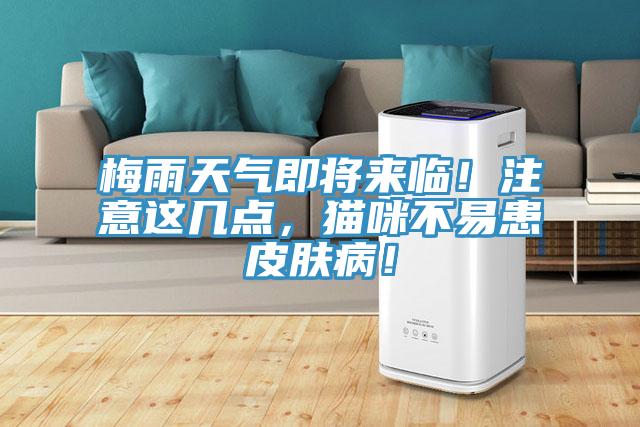 梅雨天氣即將來(lái)臨！注意這幾點(diǎn)，貓咪不易患皮膚??！