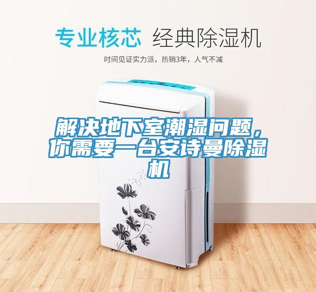 解決地下室潮濕問題，你需要一臺安詩曼除濕機