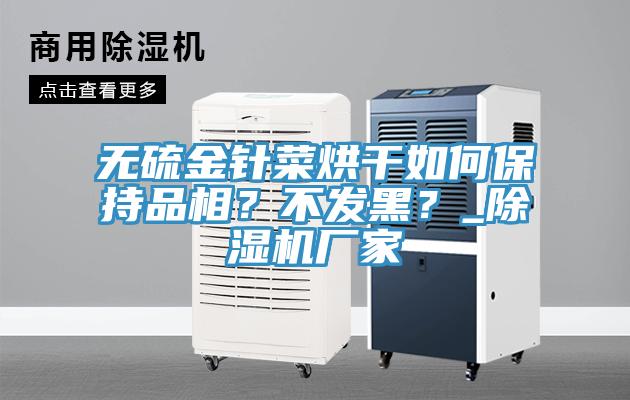 無硫金針菜烘干如何保持品相？不發(fā)黑？_除濕機廠家