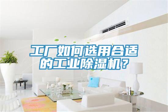 工廠如何選用合適的工業(yè)除濕機(jī)？