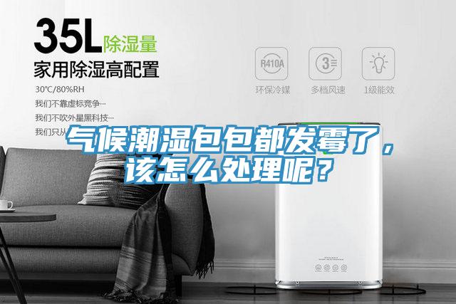 氣候潮濕包包都發(fā)霉了，該怎么處理呢？
