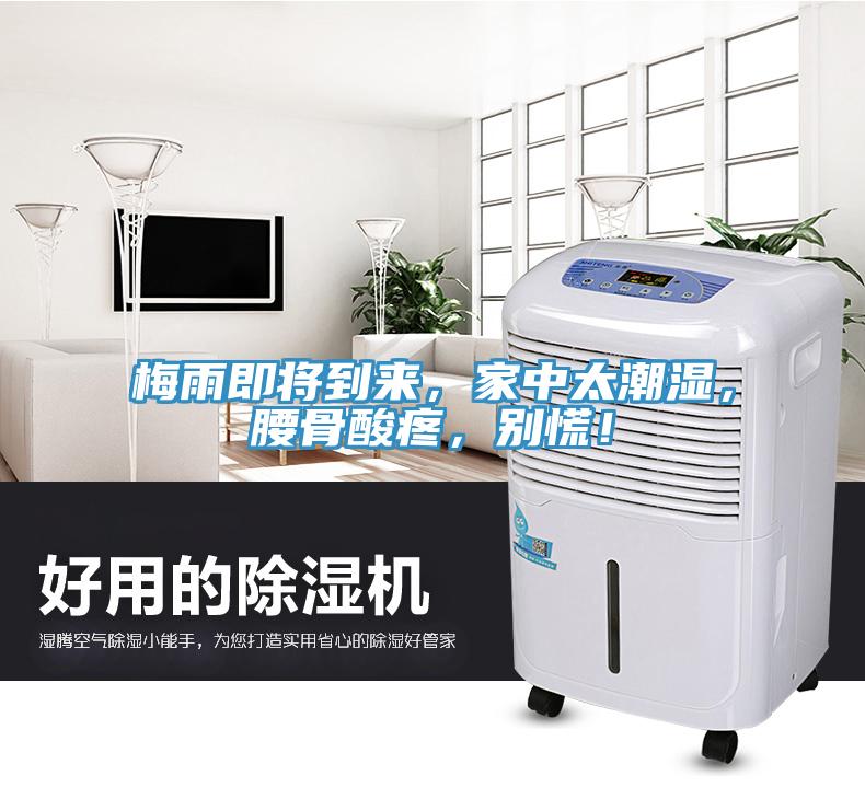 梅雨即將到來，家中太潮濕，腰骨酸疼，別慌！