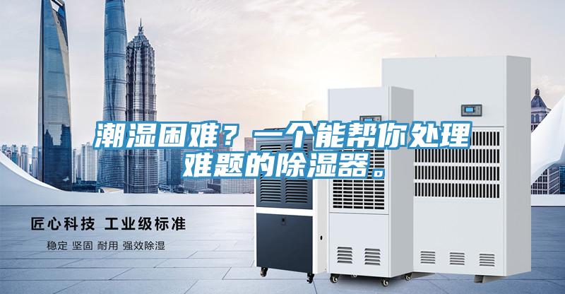 潮濕困難？一個能幫你處理難題的除濕器。