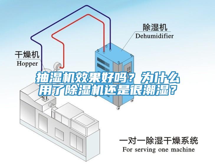 抽濕機(jī)效果好嗎？為什么用了除濕機(jī)還是很潮濕？