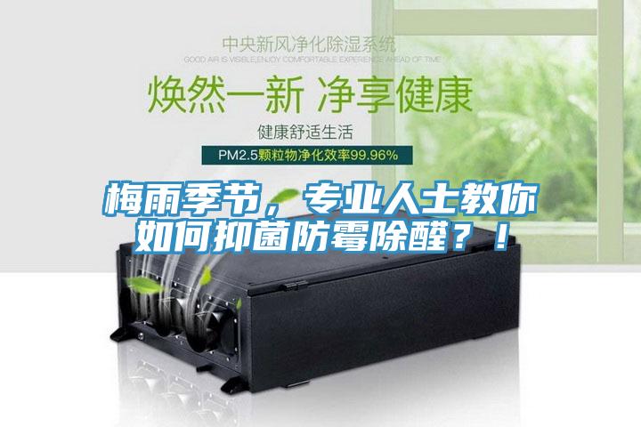 梅雨季節(jié)，專業(yè)人士教你如何抑菌防霉除醛？！