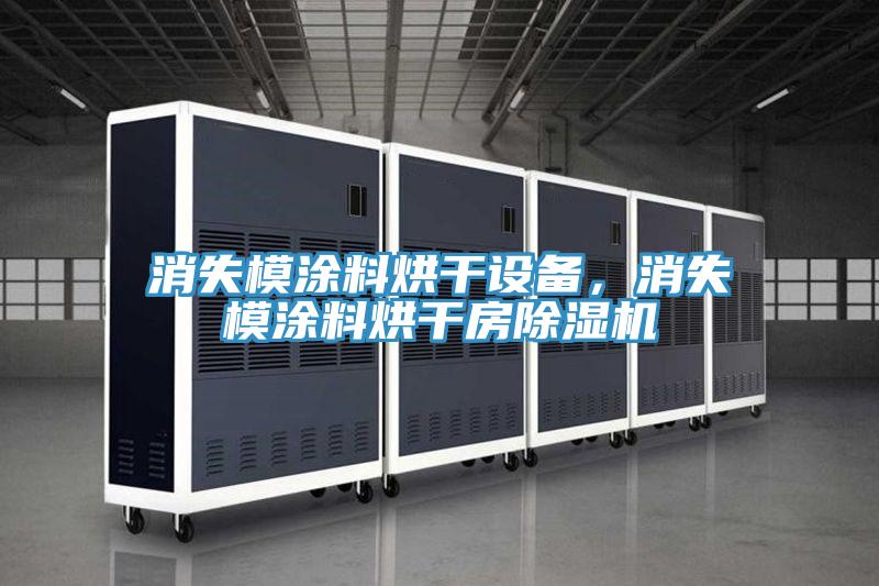 消失模涂料烘干設(shè)備，消失模涂料烘干房除濕機(jī)