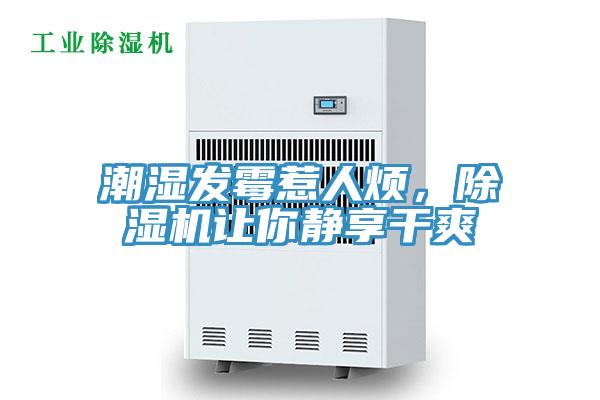 潮濕發(fā)霉惹人煩，除濕機(jī)讓你靜享干爽