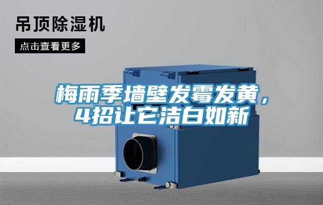 梅雨季墻壁發(fā)霉發(fā)黃，4招讓它潔白如新