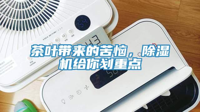 茶葉帶來的苦惱，除濕機給你劃重點