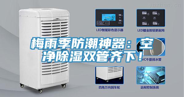 梅雨季防潮神器：空凈除濕雙管齊下！