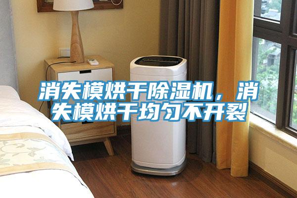 消失模烘干除濕機(jī)，消失模烘干均勻不開裂