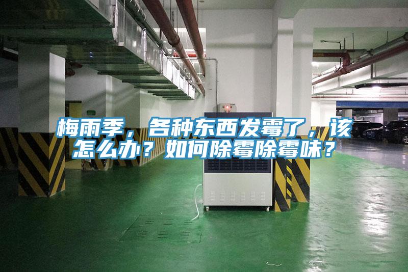 梅雨季，各種東西發(fā)霉了，該怎么辦？如何除霉除霉味？