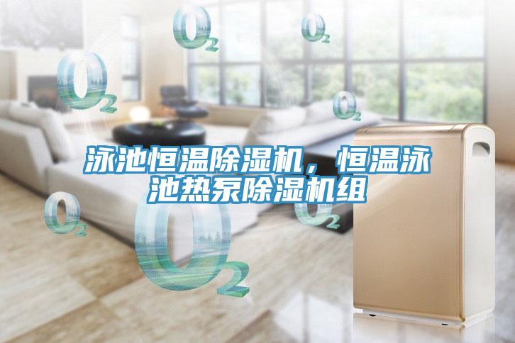 泳池恒溫除濕機，恒溫泳池?zé)岜贸凉駲C組