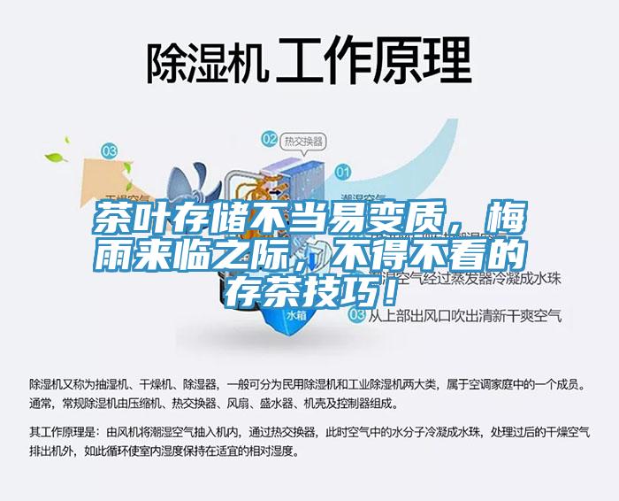 茶葉存儲不當易變質(zhì)，梅雨來臨之際，不得不看的存茶技巧！