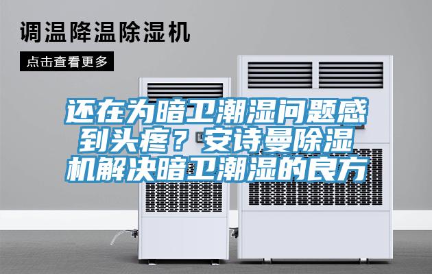 還在為暗衛(wèi)潮濕問題感到頭疼？安詩曼除濕機解決暗衛(wèi)潮濕的良方