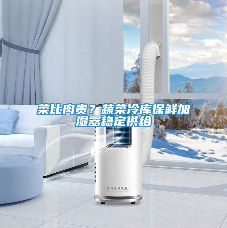菜比肉貴？蔬菜冷庫保鮮加濕器穩(wěn)定供給