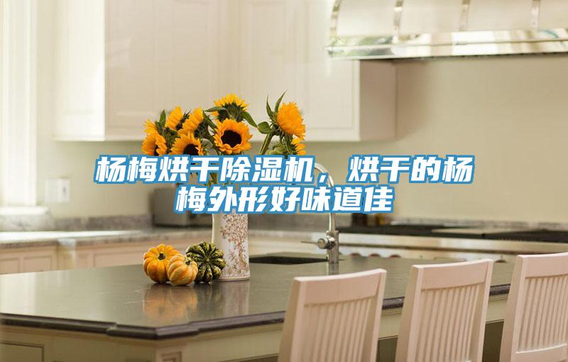楊梅烘干除濕機(jī)，烘干的楊梅外形好味道佳