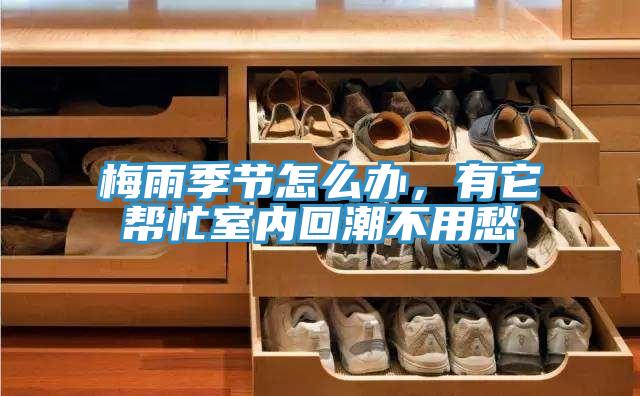 梅雨季節(jié)怎么辦，有它幫忙室內(nèi)回潮不用愁